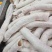 牛肺管