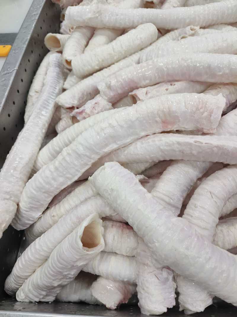牛肺管