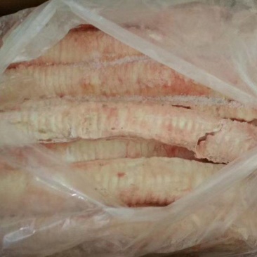 牛肺管