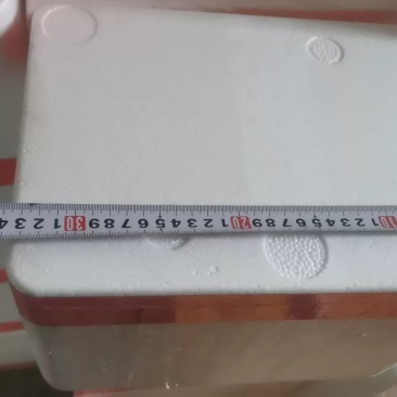 二手泡沫箱