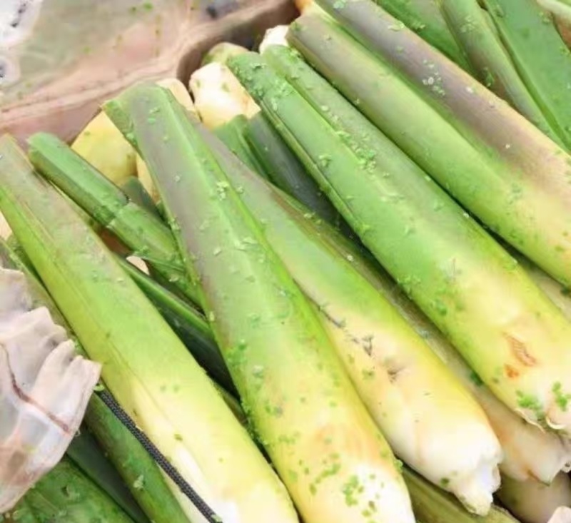 精品优质茭白，各种品类，全国发货，价格美丽
