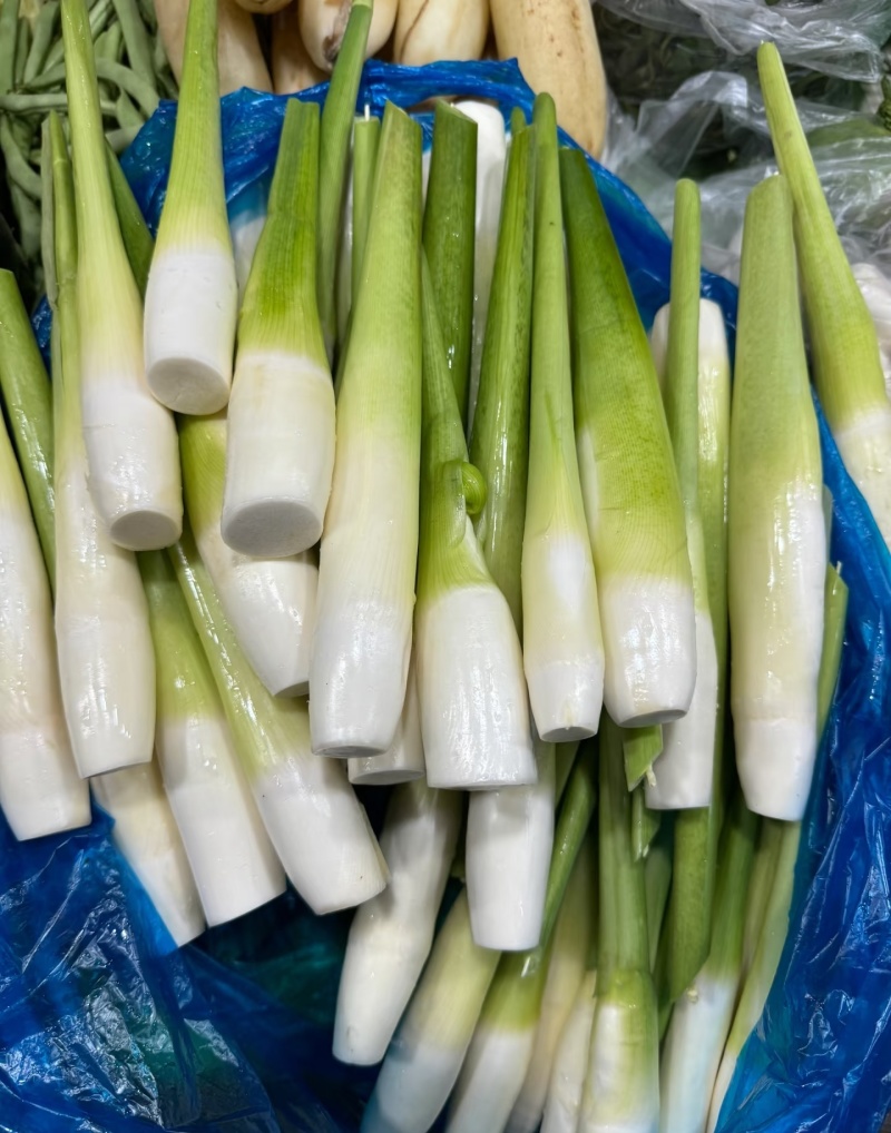 精品优质茭白，各种品类，全国发货，价格美丽