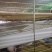 【推荐】养殖专用接粪板加厚优质易清洗兔笼配件低价接鸡粪神