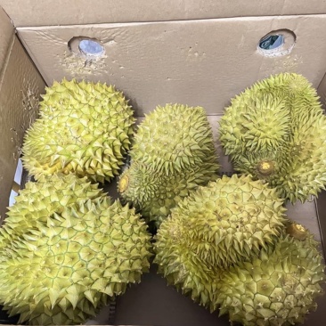 刚上线了一波优惠中，欢迎各位老板来下单