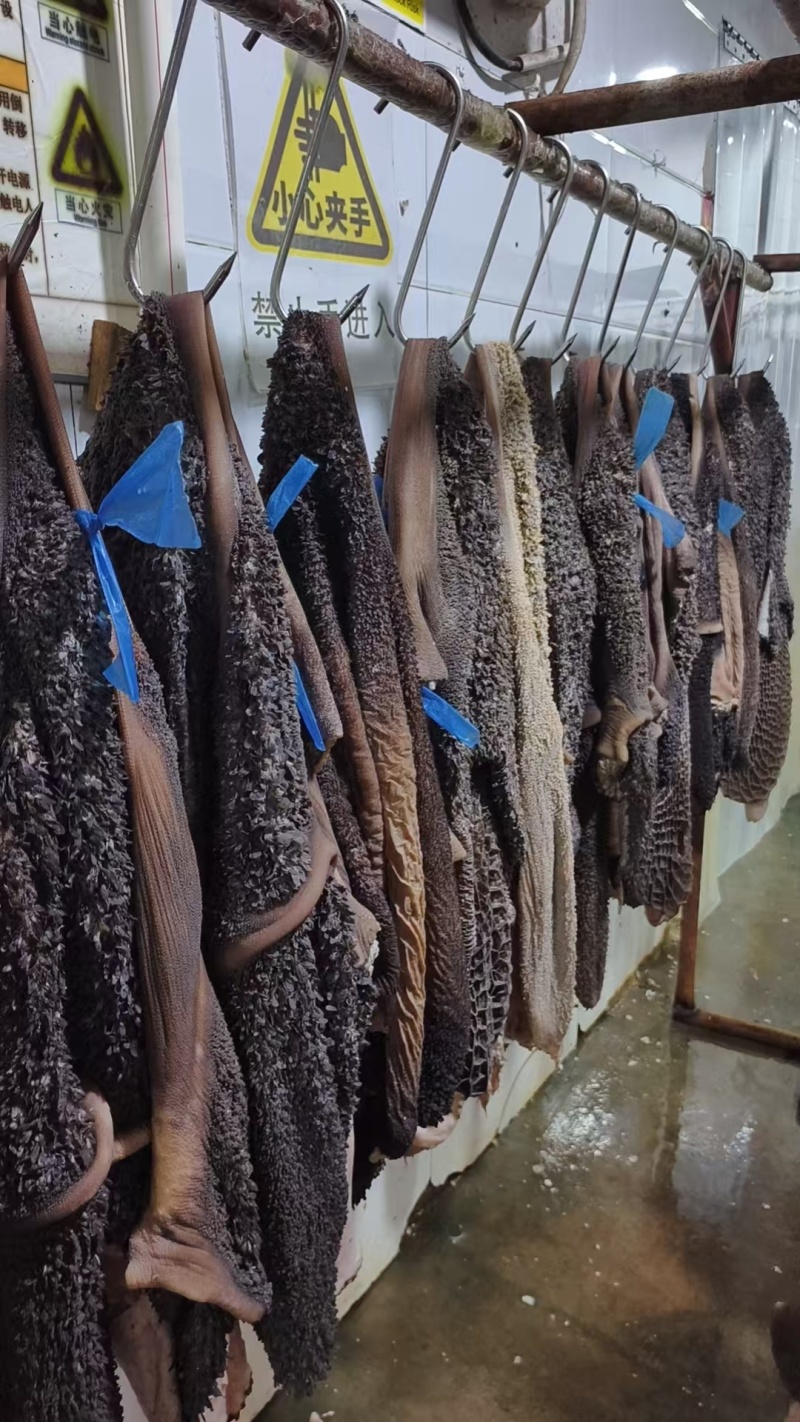 生黑牛肚
