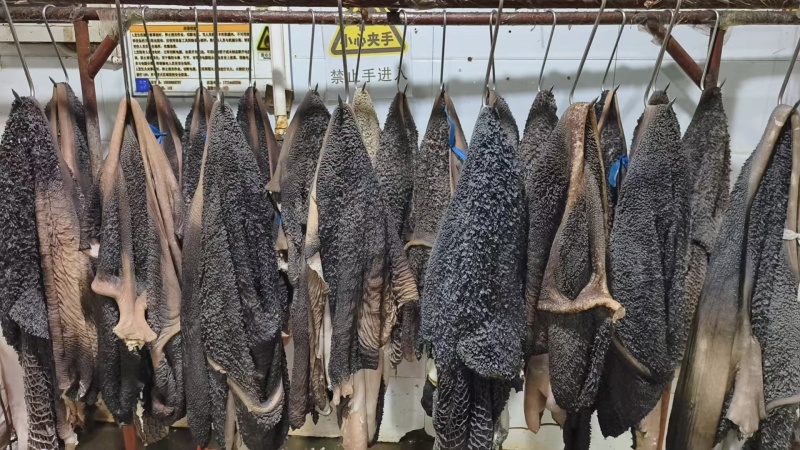 生黑牛肚