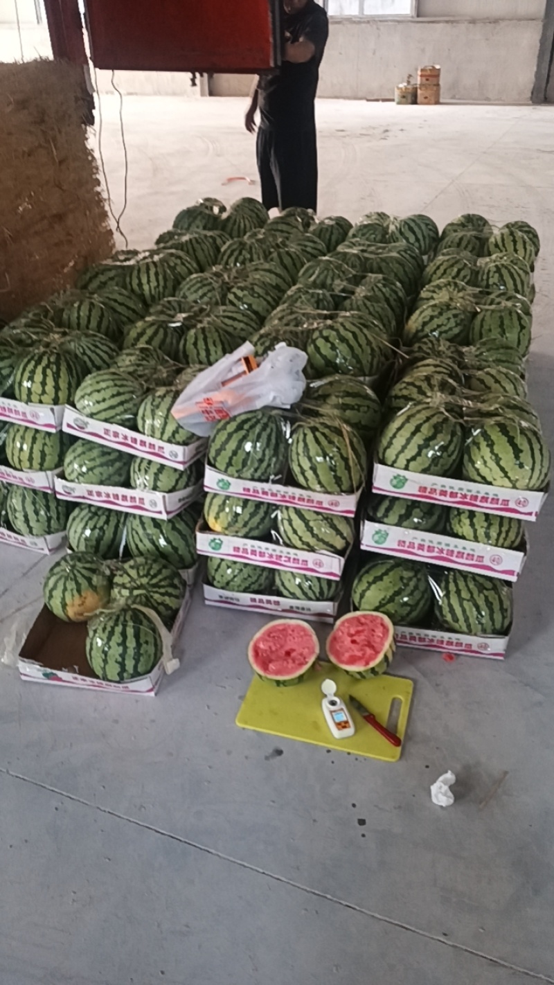 精品冰糖麒麟西瓜现货大量有货自家基地欢迎来电
