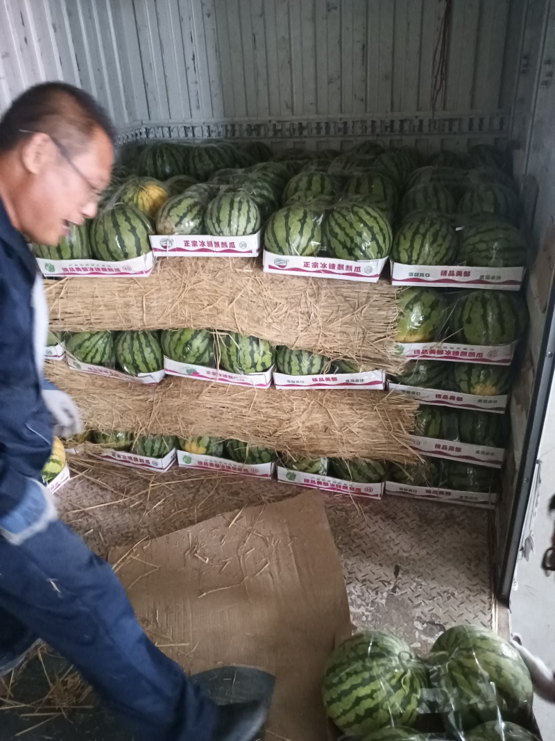 精品冰糖麒麟西瓜现货大量有货自家基地欢迎来电