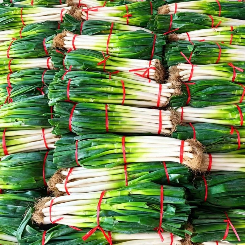 铁杆大葱净葱1元1斤挥泪大甩卖自家基地欢迎来电合作