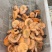精品野生菌