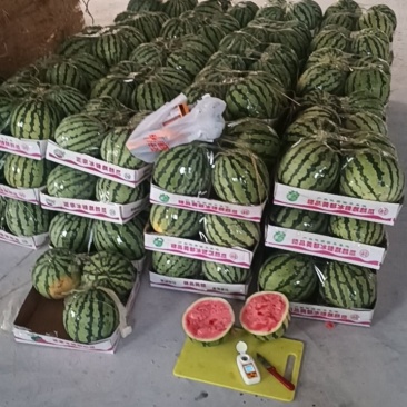 精品冰糖麒麟西瓜挥泪大甩卖0.8元自家产地欢迎来电合作