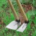 农用锰钢多功能小大锄头种菜除草挖土挖地挖笋铁锹铲开荒户外