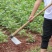 农用锰钢多功能小大锄头种菜除草挖土挖地挖笋铁锹铲开荒户外