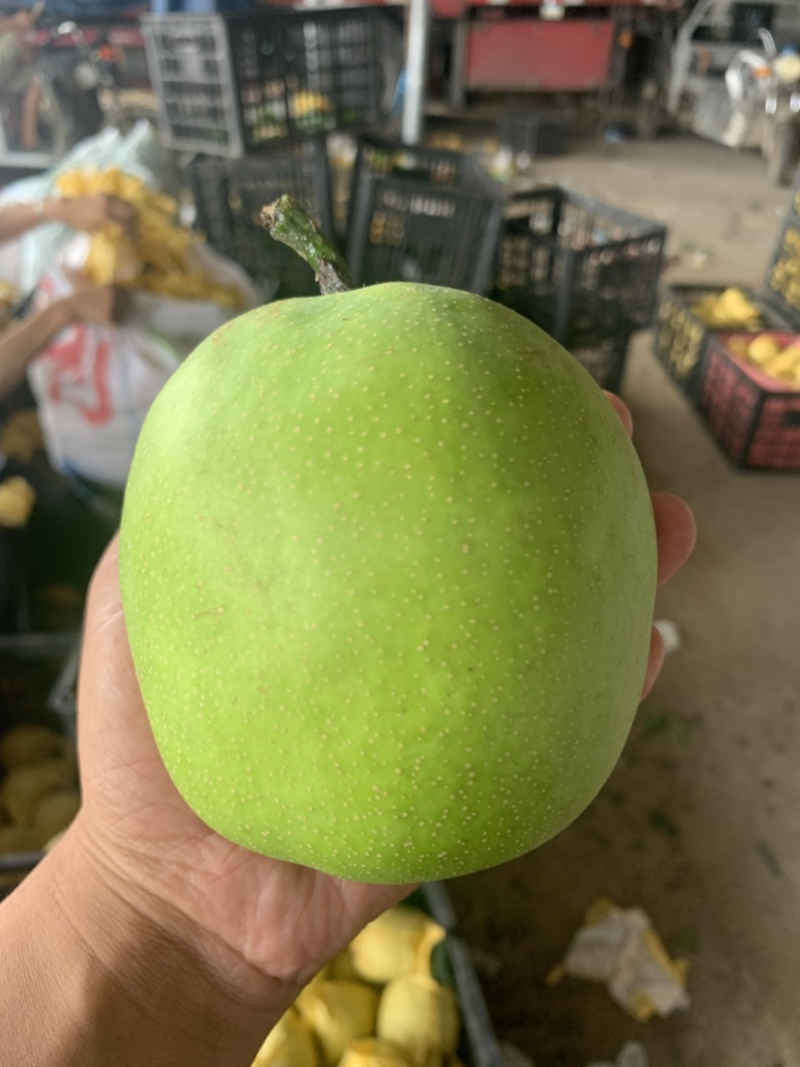 【推荐】翠玉梨产地直发保质保量脆甜多汁量大优惠