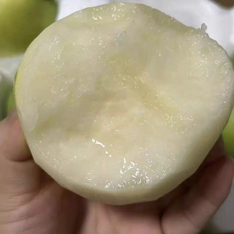 【苏翠一号】精品酥梨口感酥甜种植基地现摘现发质优价廉物超所值