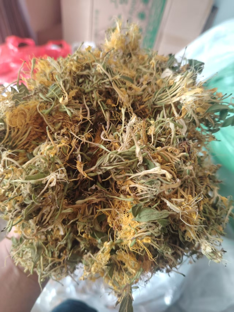 中药材金银花贵州自家产地直发无硫无霉无杂质市场货