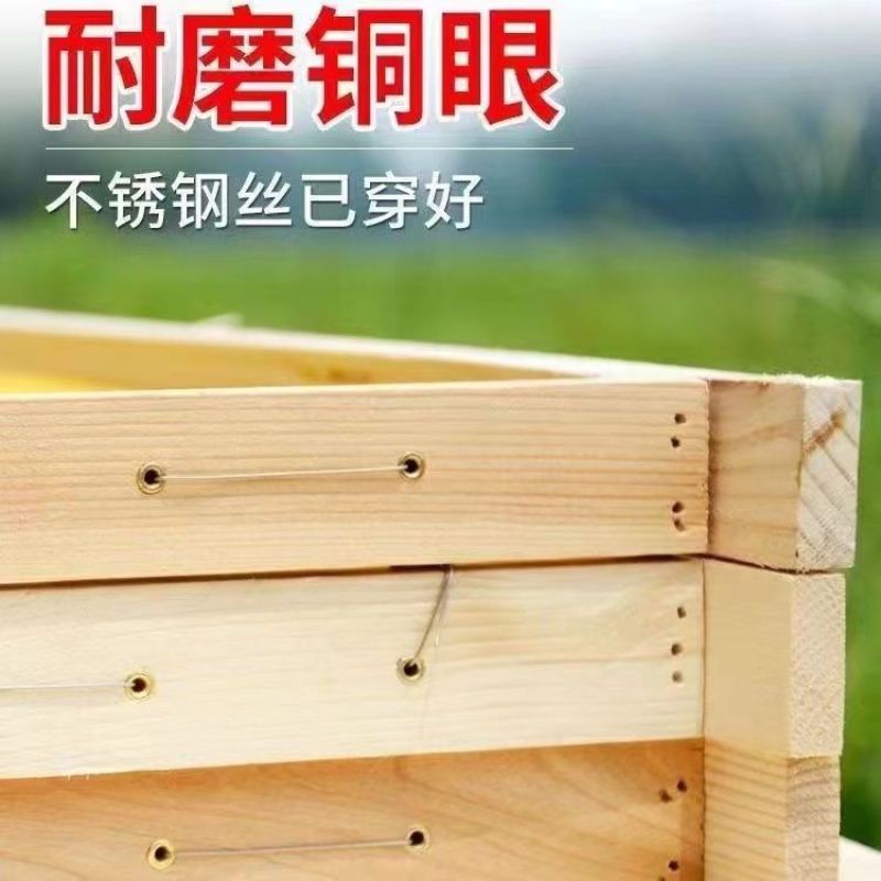 巢础带框成品巢框巢脾蜂巢蜜蜂意蜂箱杉木养蜂工具厂家直销