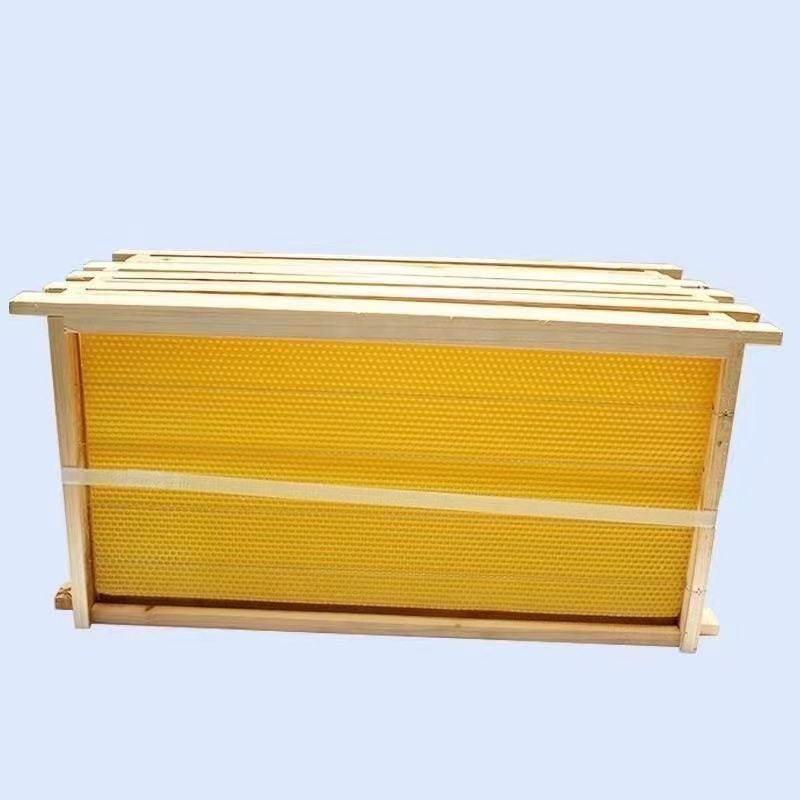 巢础带框成品巢框巢脾蜂巢蜜蜂意蜂箱杉木养蜂工具厂家直销