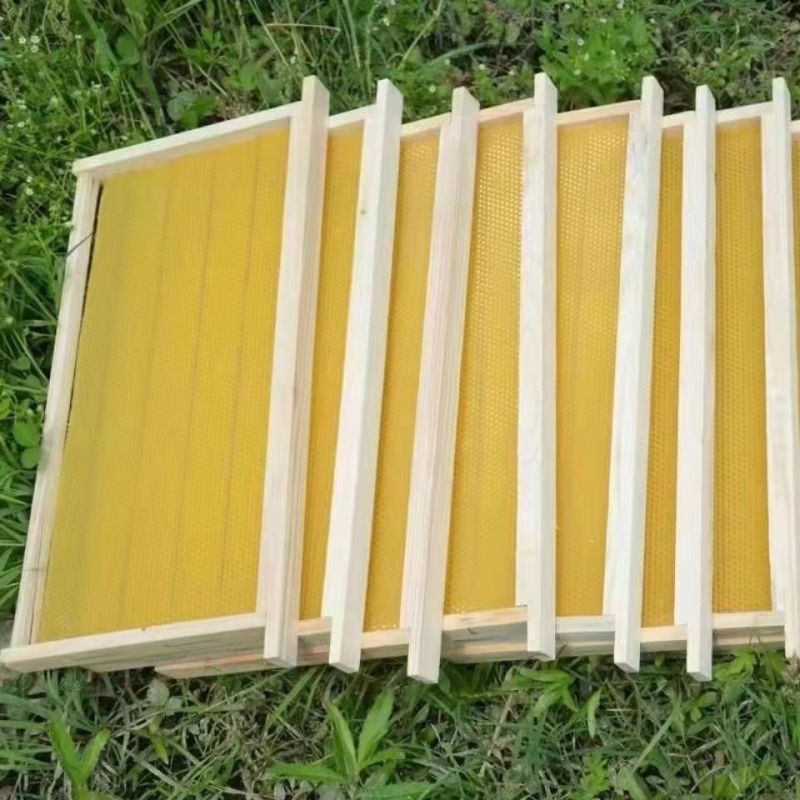 巢础带框成品巢框巢脾蜂巢蜜蜂意蜂箱杉木养蜂工具厂家直销