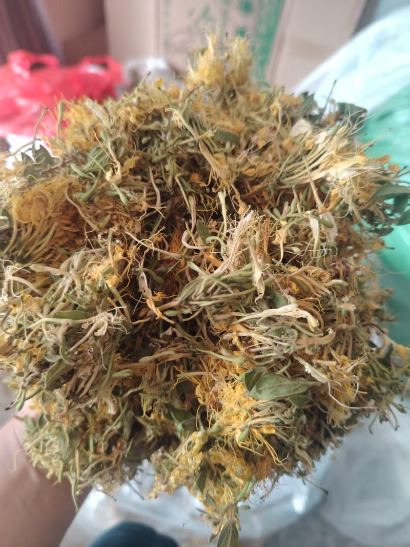 贵州安龙，金银花无硫无霉，质量保证产地直销大量供应