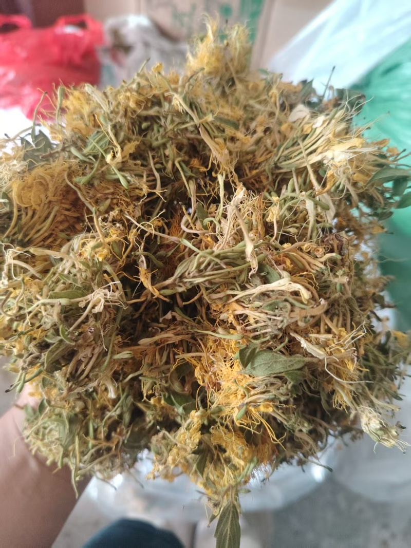 贵州安龙，金银花无硫无霉，质量保证产地直销大量供应