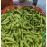 毛豆大量上市