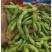 毛豆大量上市