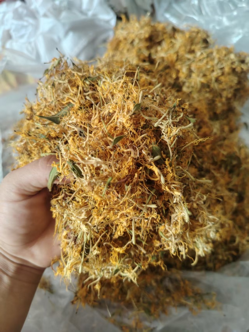 贵州野生金银花一级货生晒无硫大量现货欢迎进店选购，