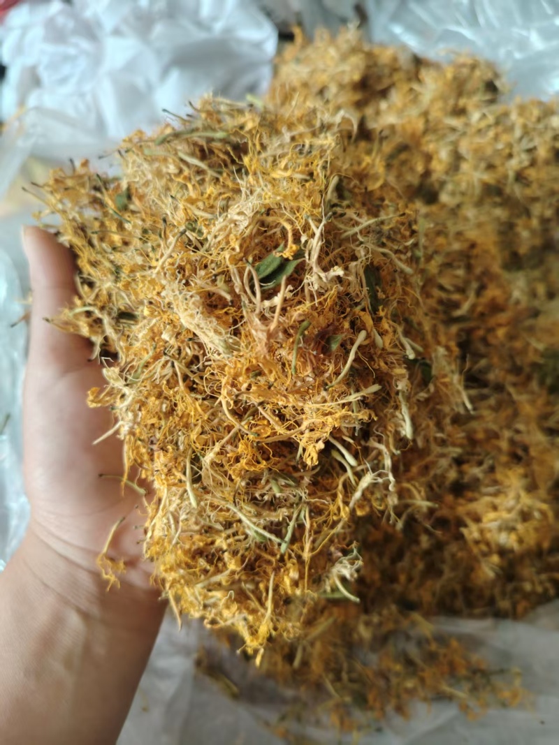 贵州野生金银花一级货生晒无硫大量现货欢迎进店选购，