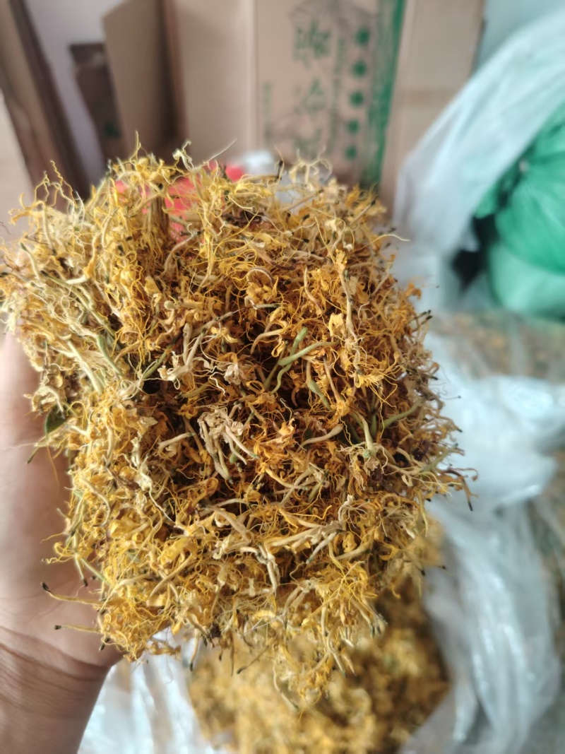 贵州野生金银花一级货生晒无硫大量现货欢迎进店选购，