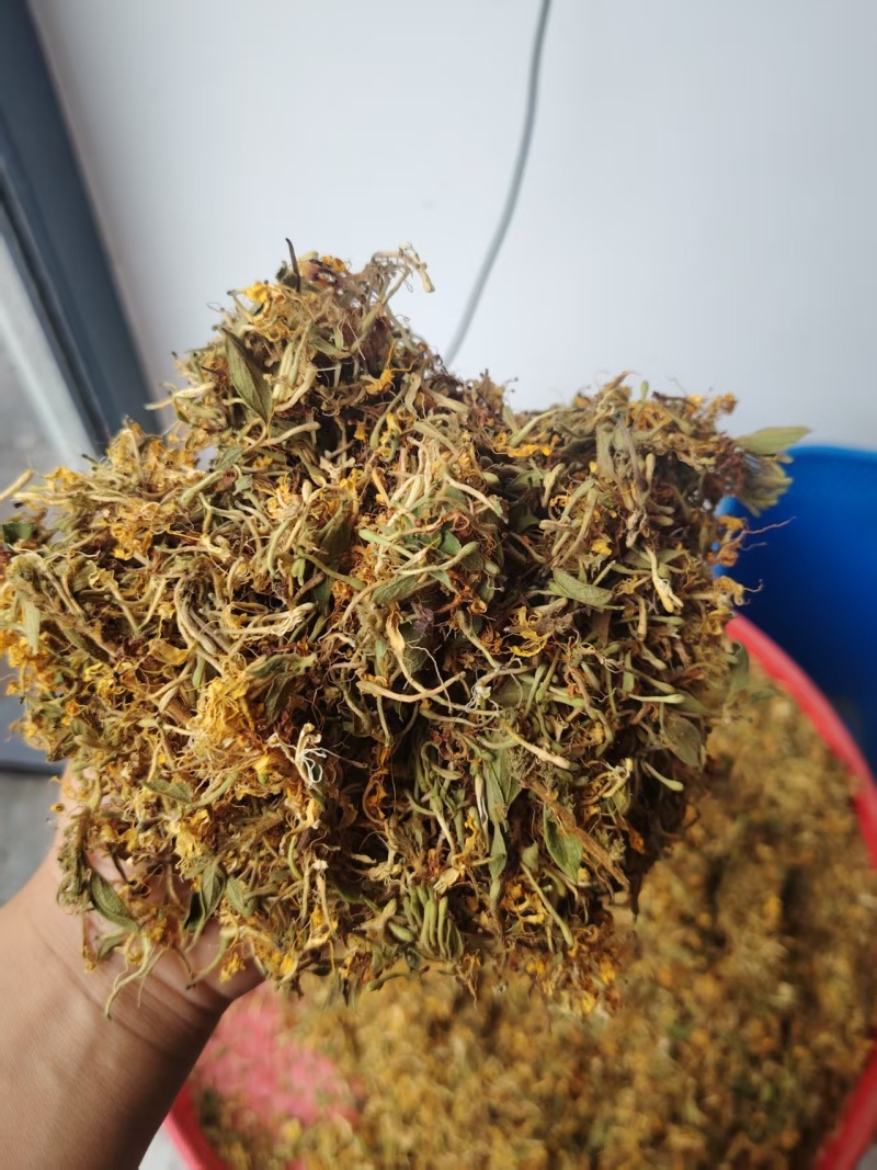 正宗贵州野生金银花产地直发各种规格都有可看货