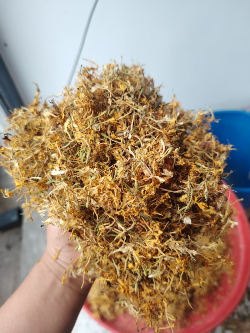 正宗贵州野生金银花产地直发各种规格都有可看货