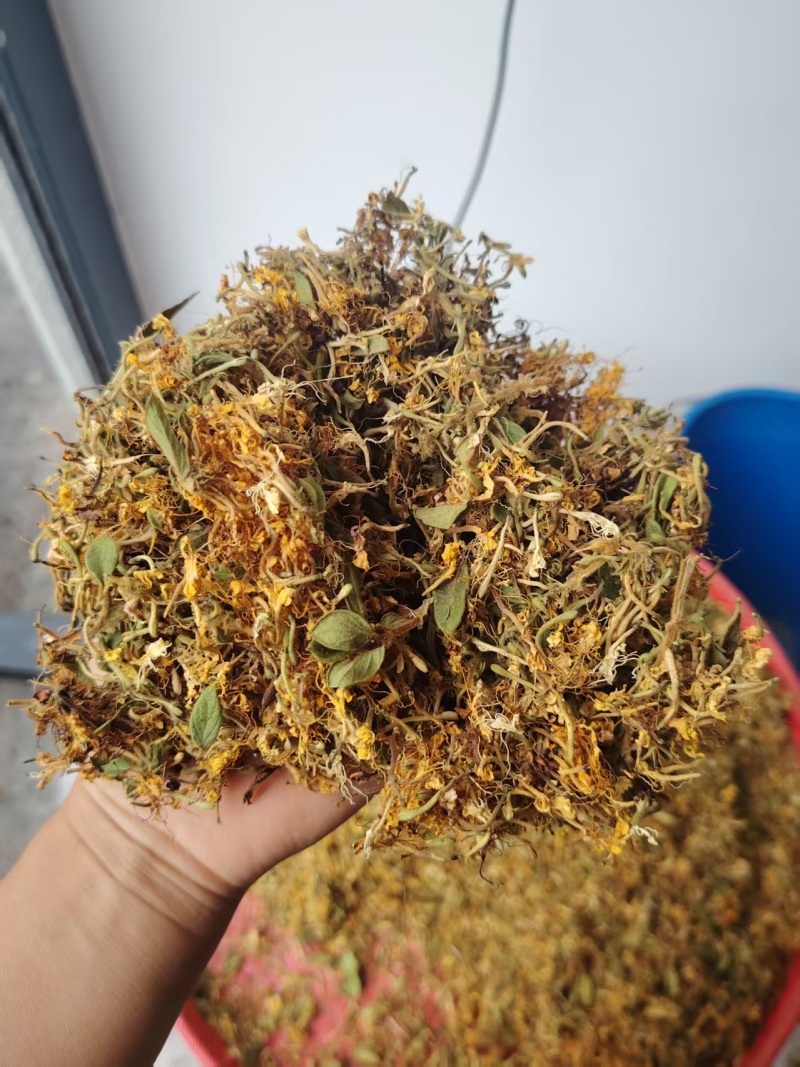 正宗贵州野生金银花产地直发各种规格都有可看货