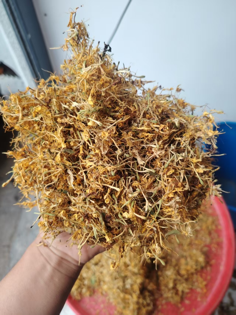 正宗贵州野生金银花产地直发各种规格都有可看货