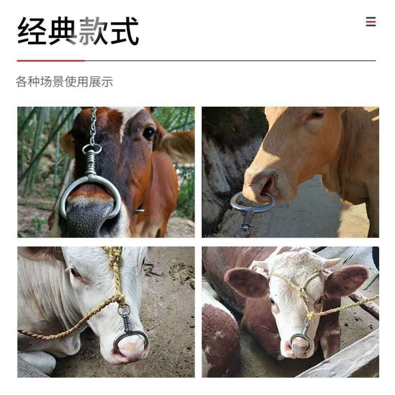 弹簧牛鼻钳牛鼻环牛鼻圈免打孔不锈钢养牛大号牛鼻钳子养殖设