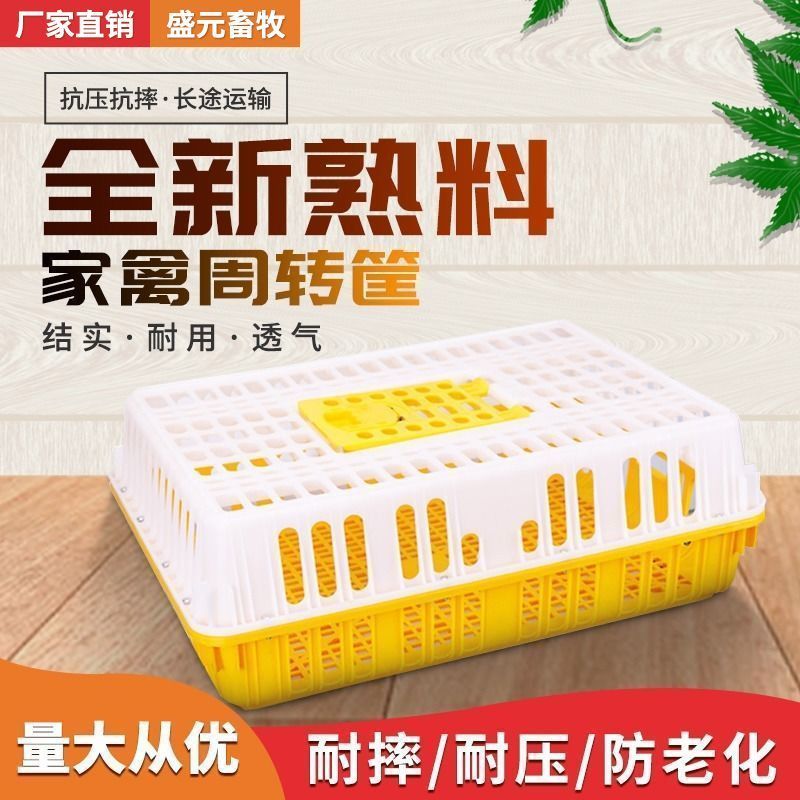 鸡笼家禽专用运输周转箱塑料鸡笼子家用养殖加大加厚鸡鸭鹅鸽
