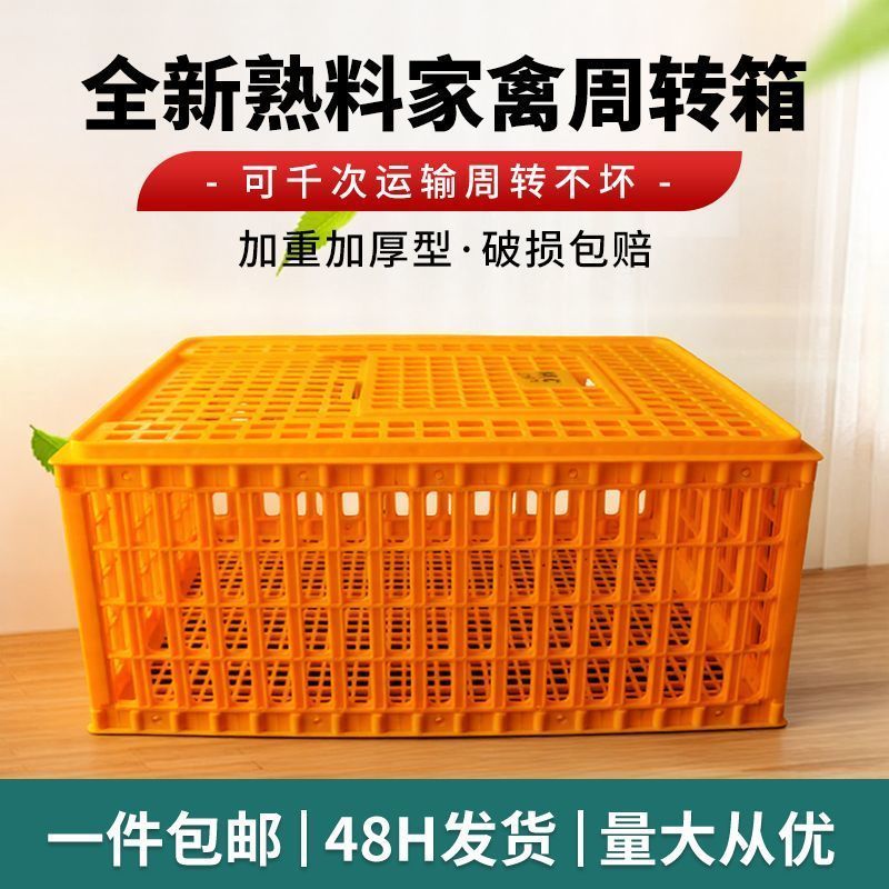 鸡笼家禽专用运输周转箱塑料鸡笼子家用养殖加大加厚鸡鸭鹅鸽