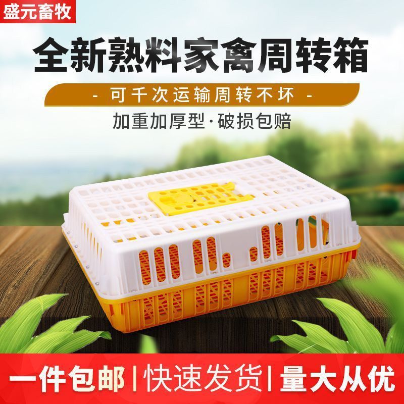 鸡笼家禽专用运输周转箱塑料鸡笼子家用养殖加大加厚鸡鸭鹅鸽