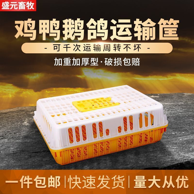 鸡笼家禽专用运输周转箱塑料鸡笼子家用养殖加大加厚鸡鸭鹅鸽
