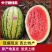 中卫硒砂瓜/中卫石头瓜/宁夏西瓜已大量上市产地直供