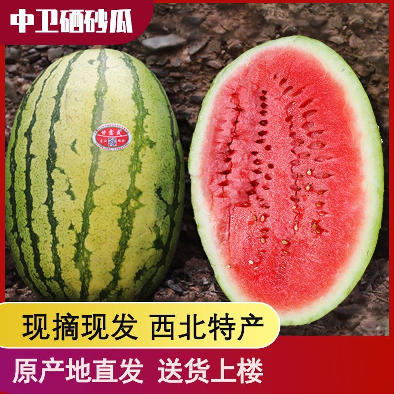 中卫硒砂瓜/中卫石头瓜/宁夏西瓜已大量上市产地直供