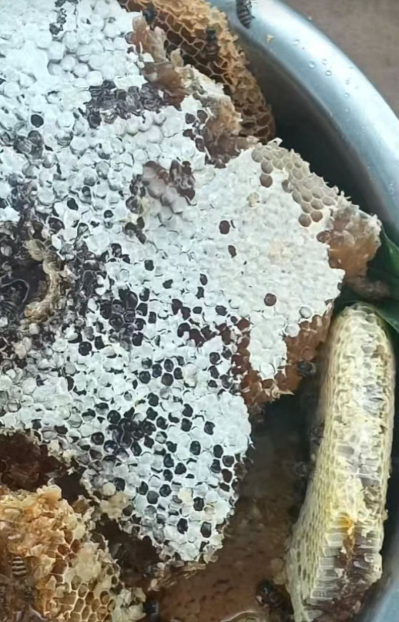 土家野生蜜，一手货源，保质保量，诚信经营，量大从优
