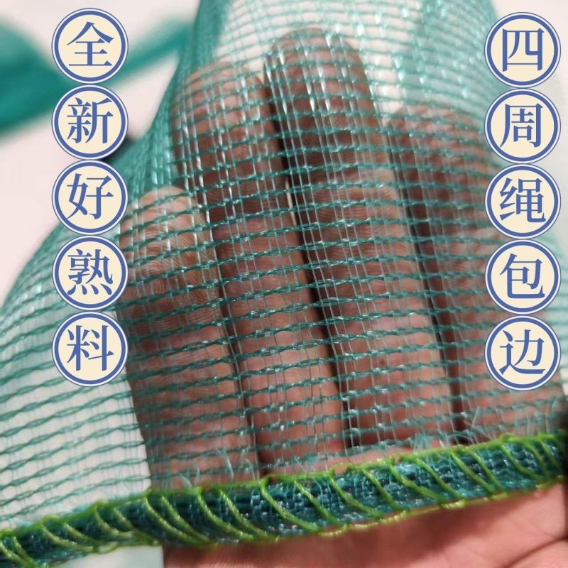 菜籽过滤网油菜籽分离筛网晾晒鱼虾杂物网米粒大小筛子折叠小