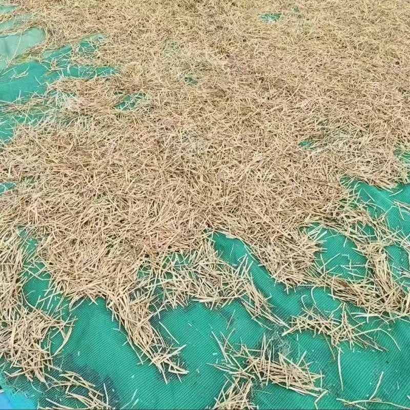 菜籽过滤网油菜籽分离筛网晾晒鱼虾杂物网米粒大小筛子折叠小