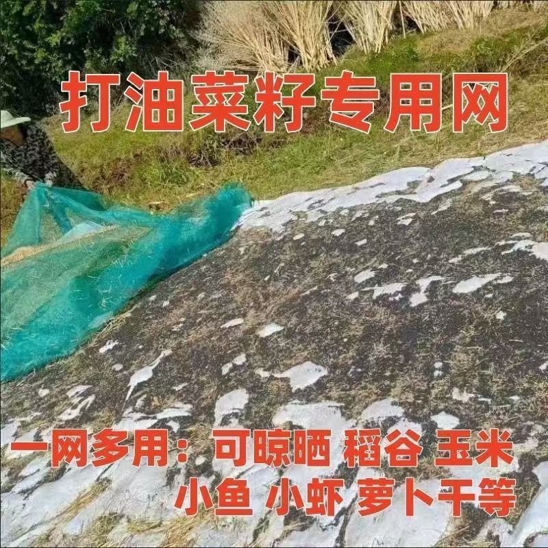 菜籽过滤网油菜籽分离筛网晾晒鱼虾杂物网米粒大小筛子折叠小