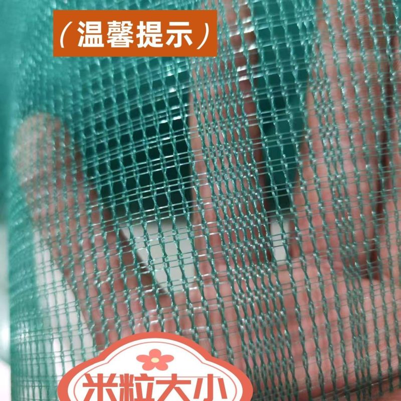 菜籽过滤网油菜籽分离筛网晾晒鱼虾杂物网米粒大小筛子折叠小