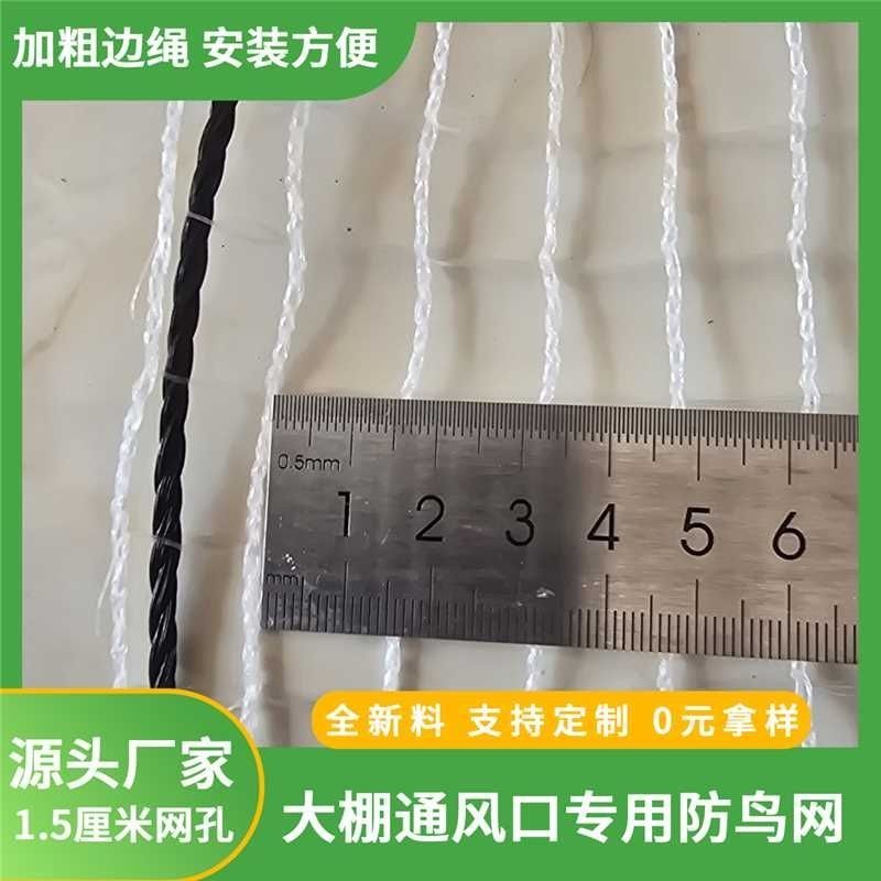 防鸟网方格网大棚放风口用结实耐用抗老化
