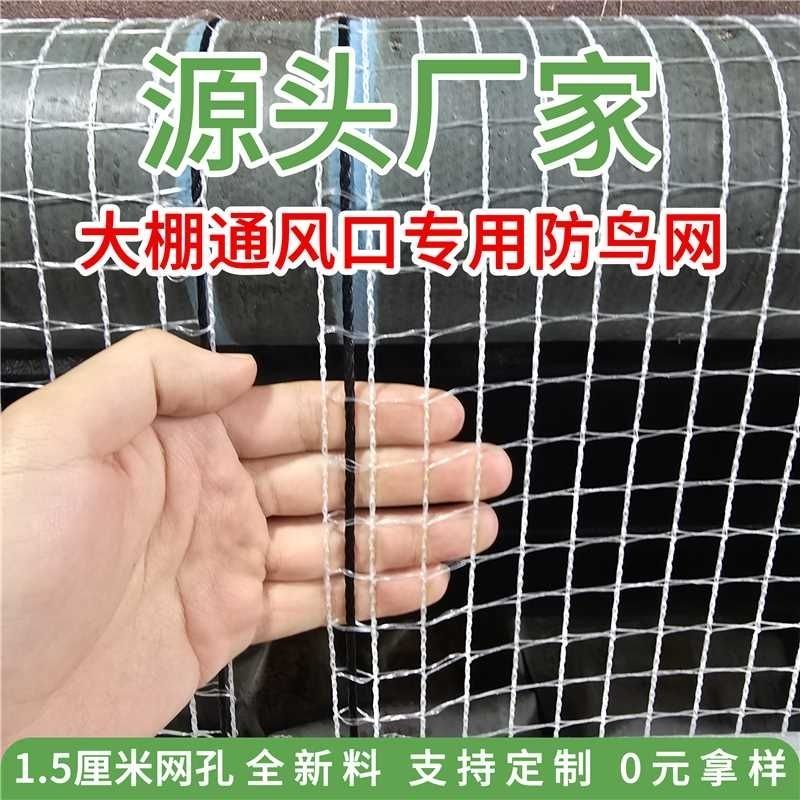 防鸟网方格网大棚放风口用结实耐用抗老化