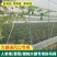 防鸟网方格网大棚放风口用结实耐用抗老化