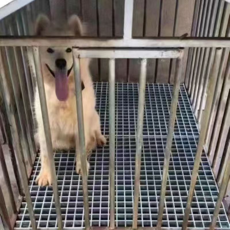 牛羊猪地网镂空网格板牛圈漏粪板地垫养猪专用漏粪板鸽子鸡鸭